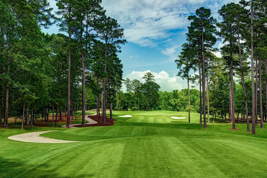 Champions Retreat Hole 2 Bluff