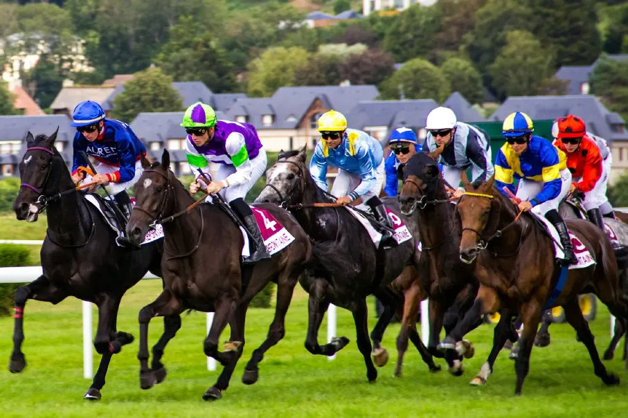 group of people riding horses
